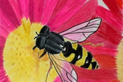 1_Bee