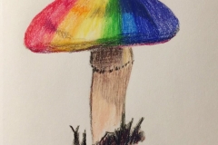 23_Mushroom