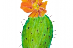 5_Cactus