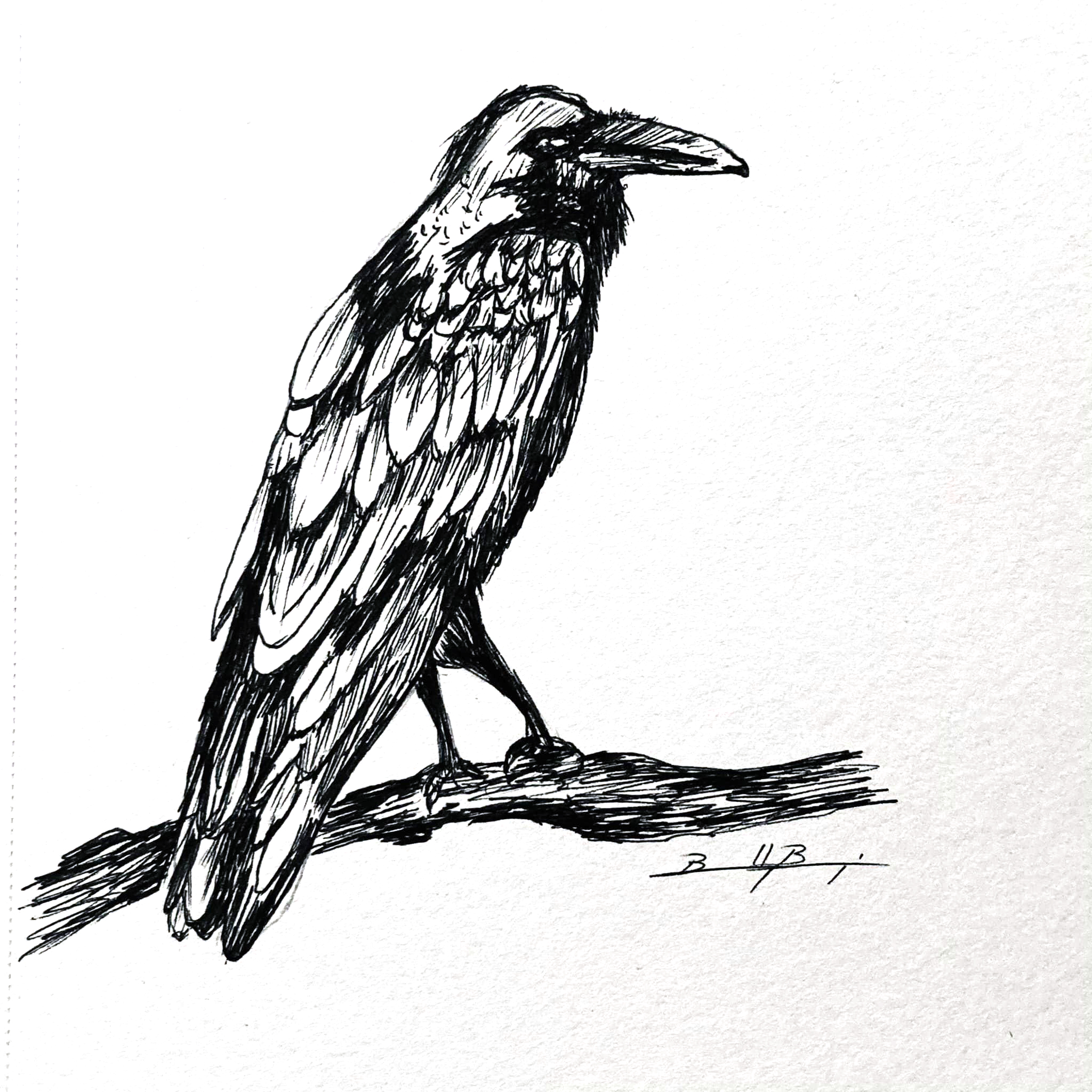 Day5-Raven