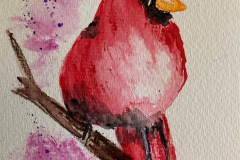 24-Cardinal