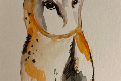 6-Owl