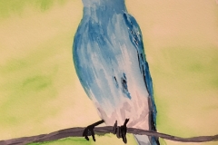 8_Mountain_Bluebird-ID_NV