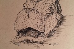 22