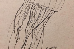 29