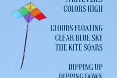 11-Kite