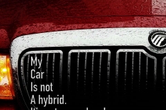 13-Hybrid