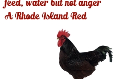 18-Red