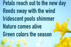 2-Spring