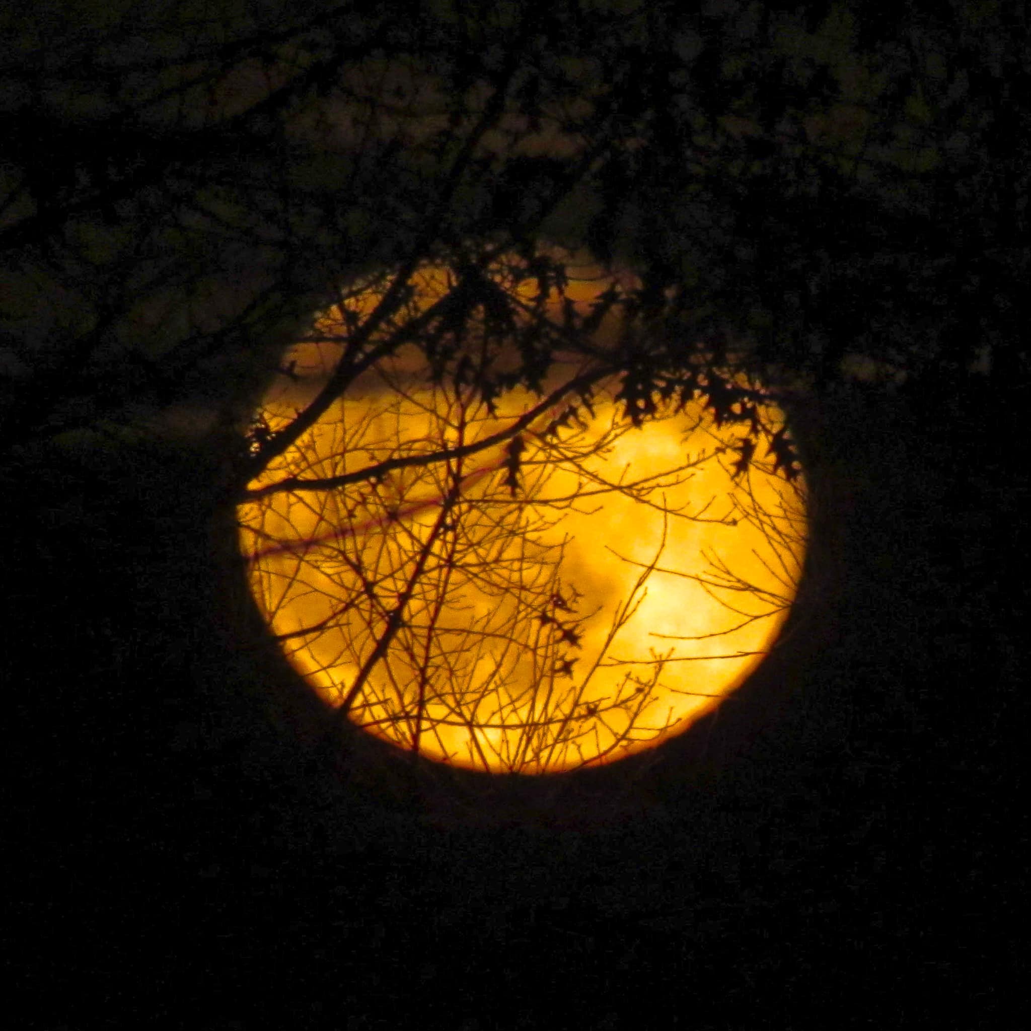 Day1_Moon