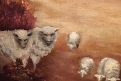 13_Sheep