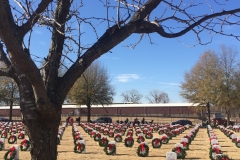 16_Tree