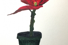 7-Poinsettia