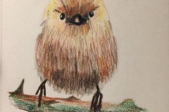 19_Bird