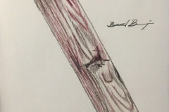 26_Woodgrain