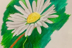 2_Daisy