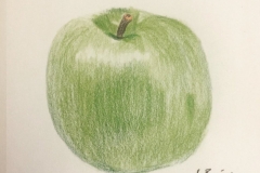 30_Apple
