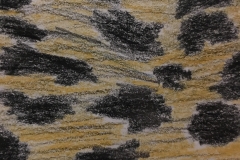 23_Fur
