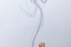 25_Smoke