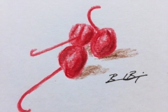 28_Cherries