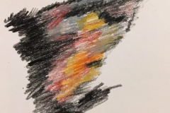 30_Dog_Ear