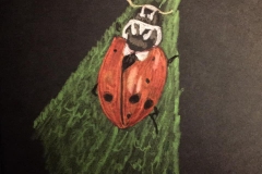 10-Insect