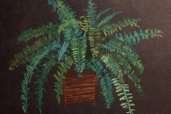 15-Fern