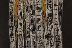 27-Bark