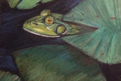 5-Frog