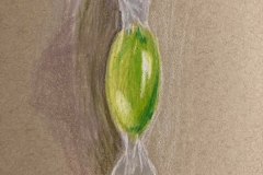 Drawember 2020
