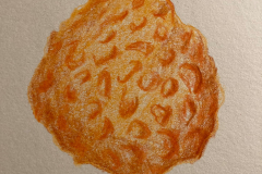Day12_Sponge
