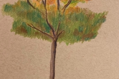 Day4_Tree