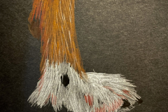 Dog-Foot