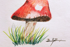 Mushroom