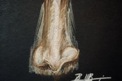 Nose