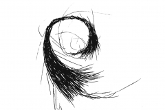 Hair