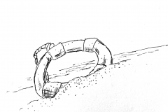 LifeRing