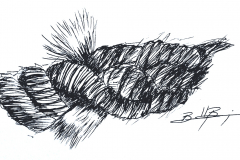 Rope