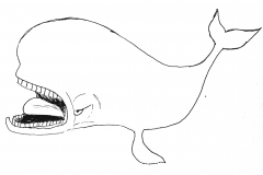 Whale