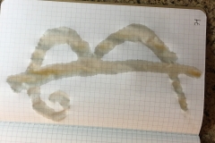 4_Lettering