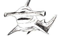 Day17-SeaCreature