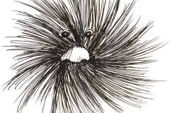Day29-Furry