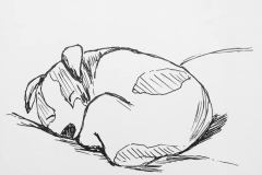 Day8-Tame