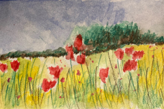 22-Meadow