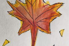 25-Maple
