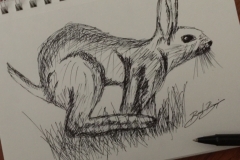 Inktober 2017