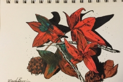 28