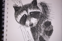 31