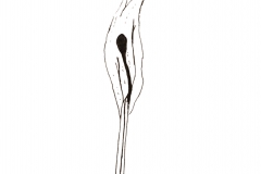 19_Scorched