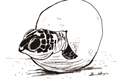 20_Breakable